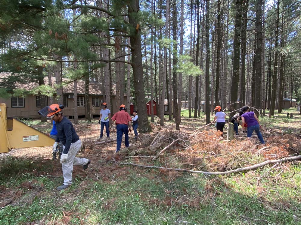 Update on Camp Wakonda Forestry Clean-Up